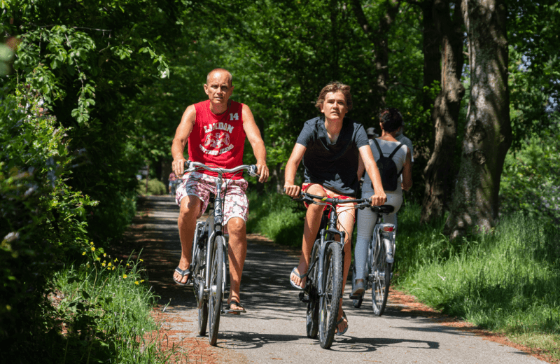 Fietsen camping rijsterbos